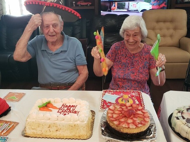 A PARENT'S PARADISE AND CARE LLC